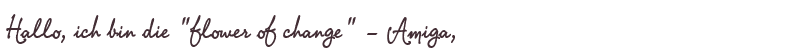 Willkommens-Gru von Amiga
